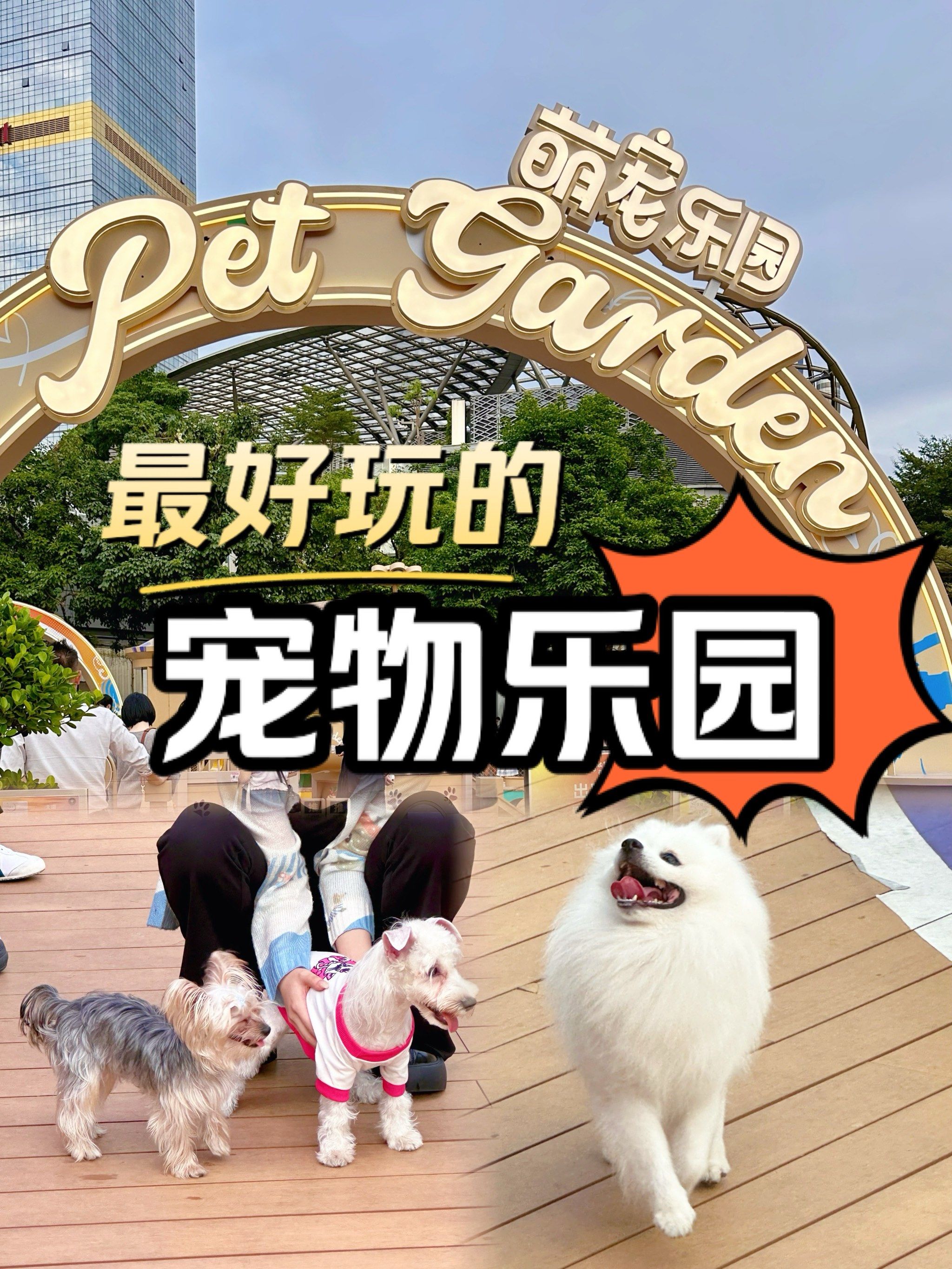 区块链宠物玩法(区块链app十大排名) 区块链宠物玩法(区块链app十大排名)